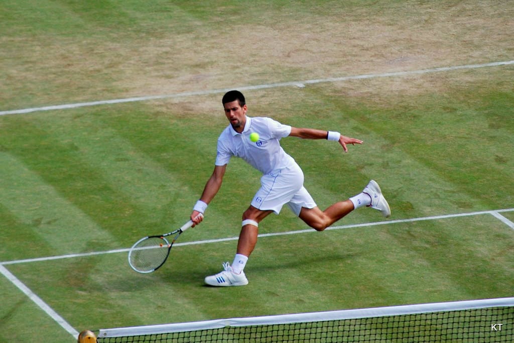 djokovic